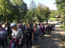 Dróżki w Kalwarii