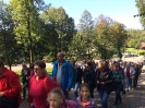 Dróżki w Kalwarii
