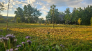Park centralny w Cięcinie nowy