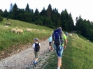 Projekt TATO Pieniny