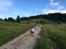 Projekt TATO Pieniny