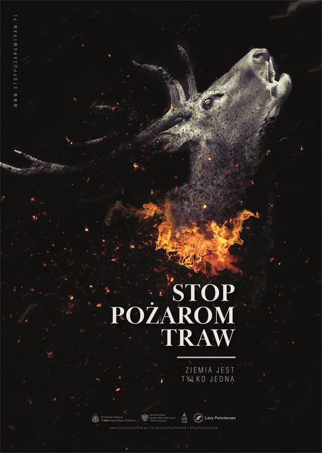 pozar_traw